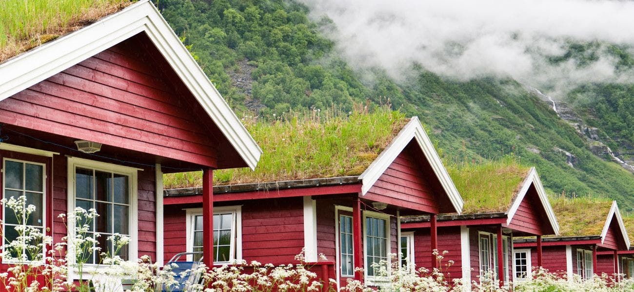 Red wooden houses with Green moss Roofs | Green Roofs 